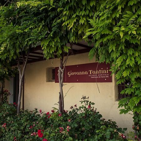 Agriturismo I Mischi Castelnuovo del Garda Eksteriør billede